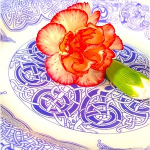 Kellis Gold Trimmed Plate. Tywyn Welsh Pottery Celtic Design.